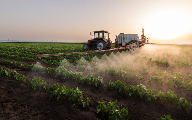 Pest Control for Restaurants in Farmersville, CA