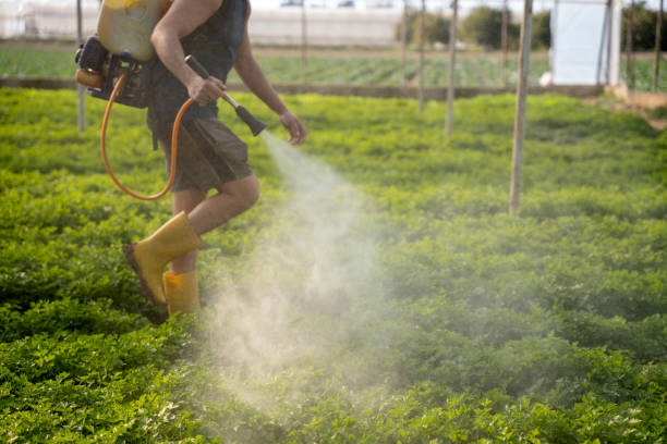 Best Pest Control for Businesses  in Farmersville, CA