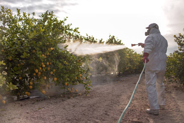 Best Wasp Removal Services  in Farmersville, CA