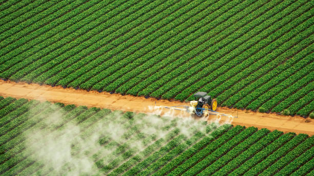 Best Pest Inspection Near Me  in Farmersville, CA